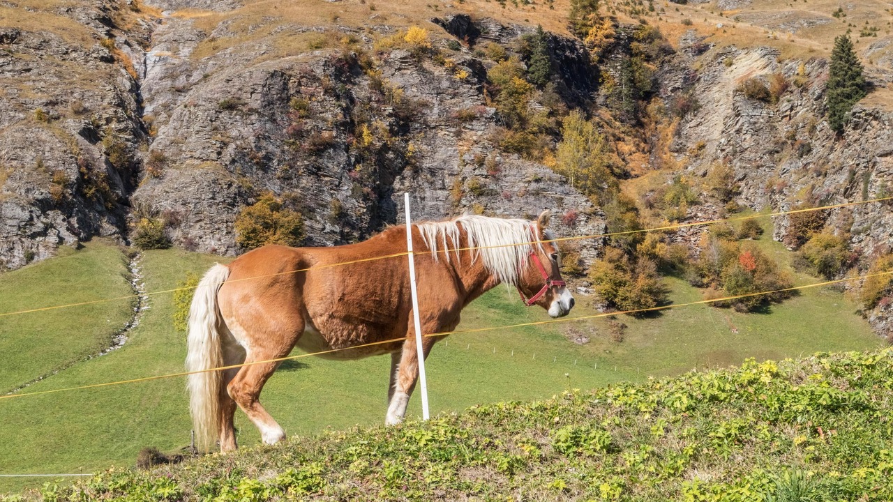 Photo of Outdoor in Moso in Passiria