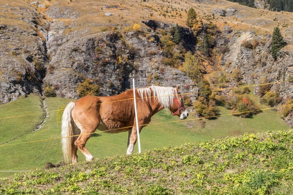 Photo of Outdoor in Moso in Passiria