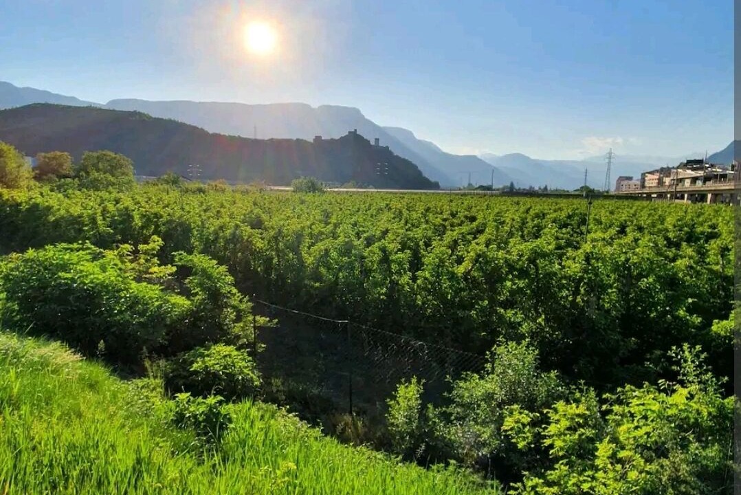 Photo of Outdoor in Bolzano