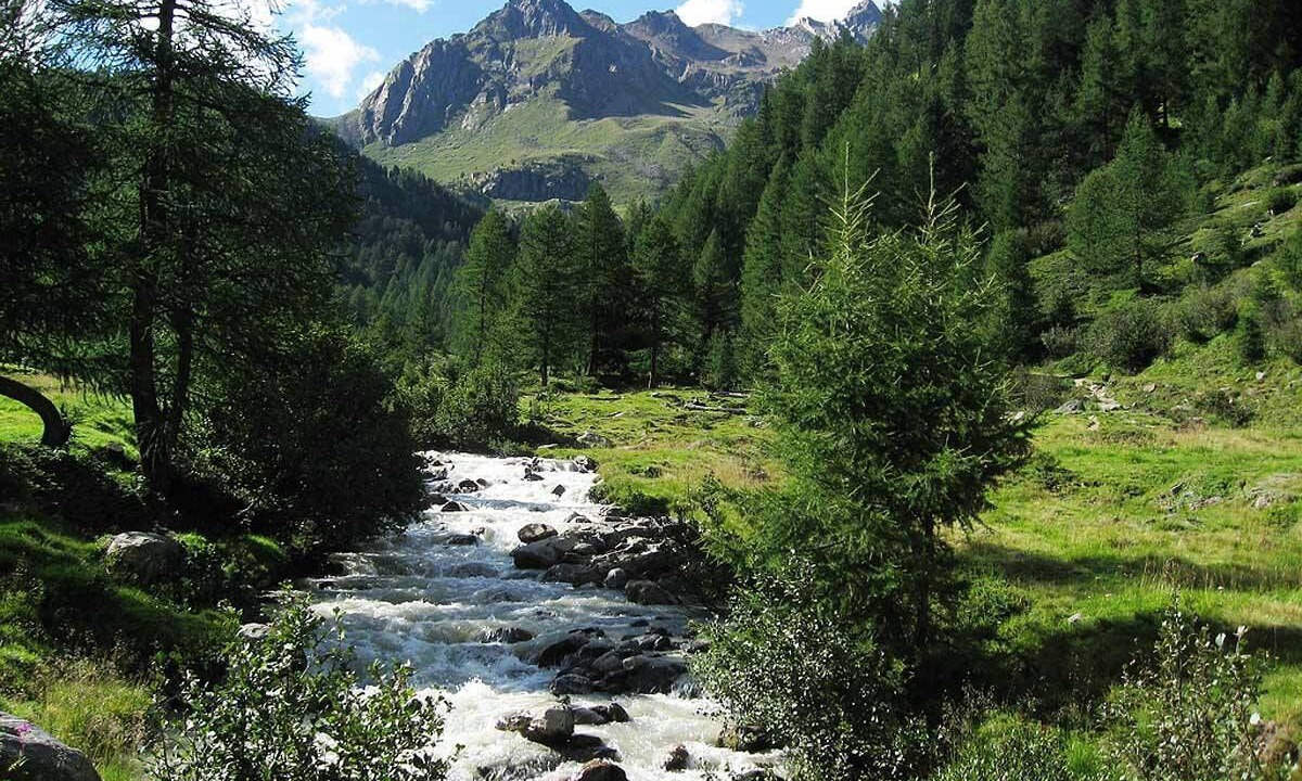 Photo of Others in Bormio