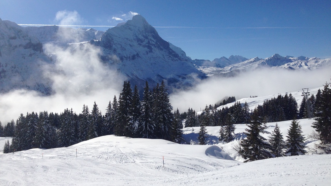 Photo of Others in Grindelwald