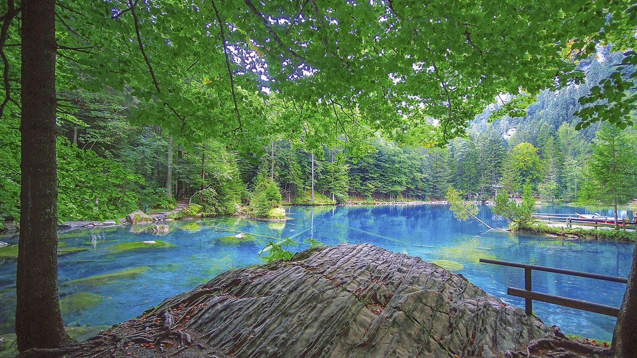 Photo of Outdoor in Blausee