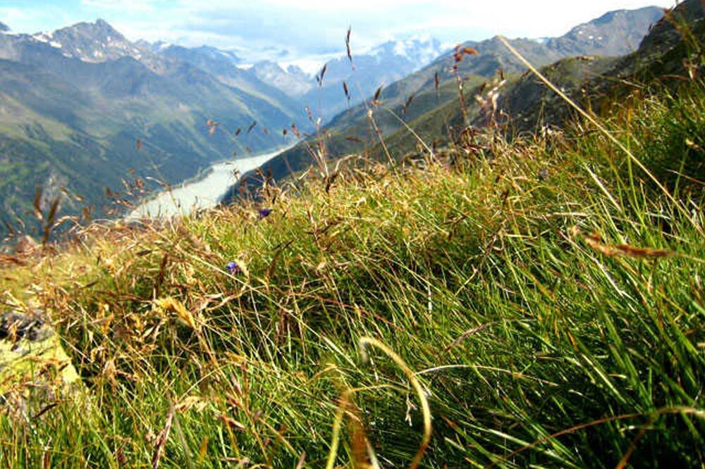 Photo of Outdoor in Feichten