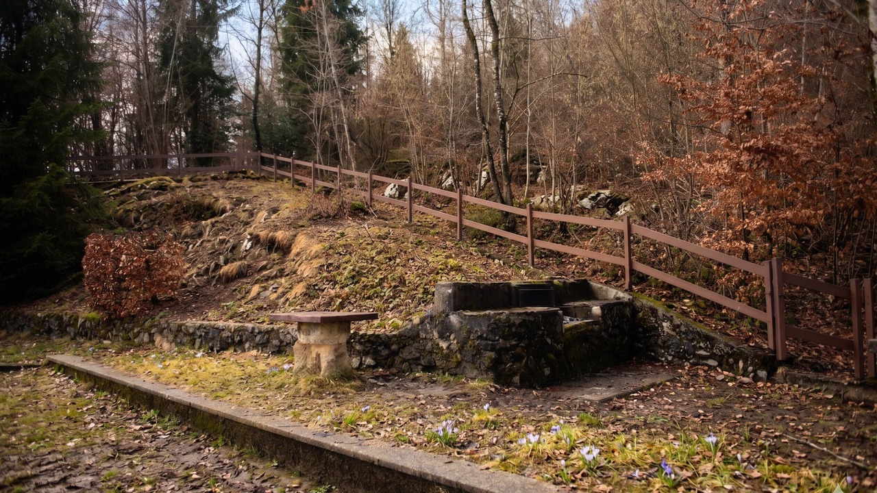 Photo of Outdoor in Miragolo San Salvatore