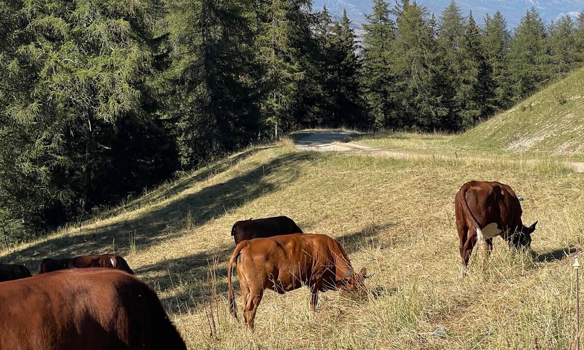 Photo of Others in La Roche