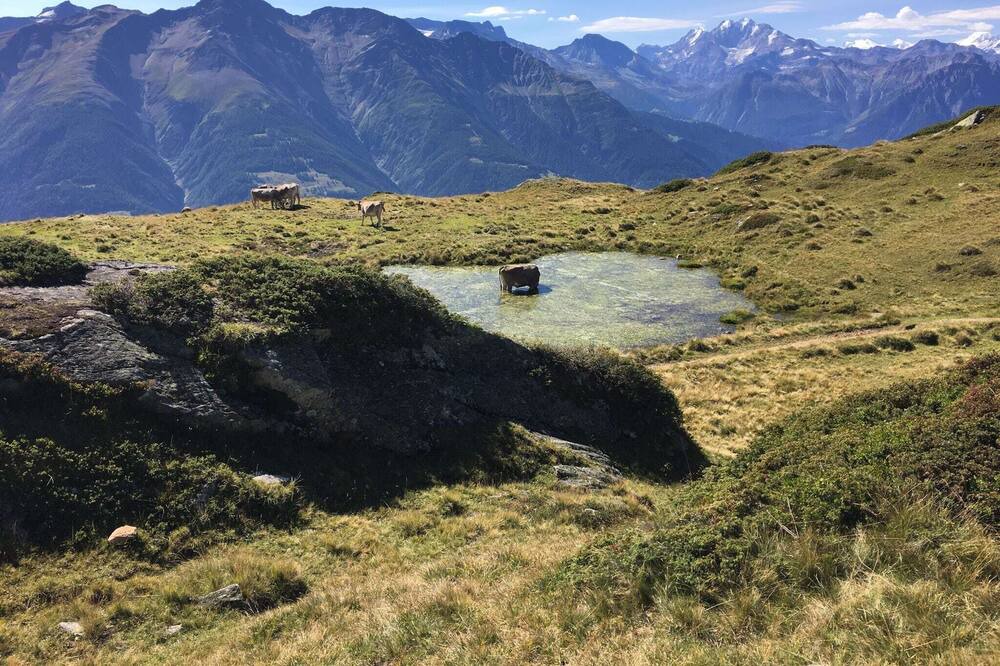 Photo of Others in Fiesch