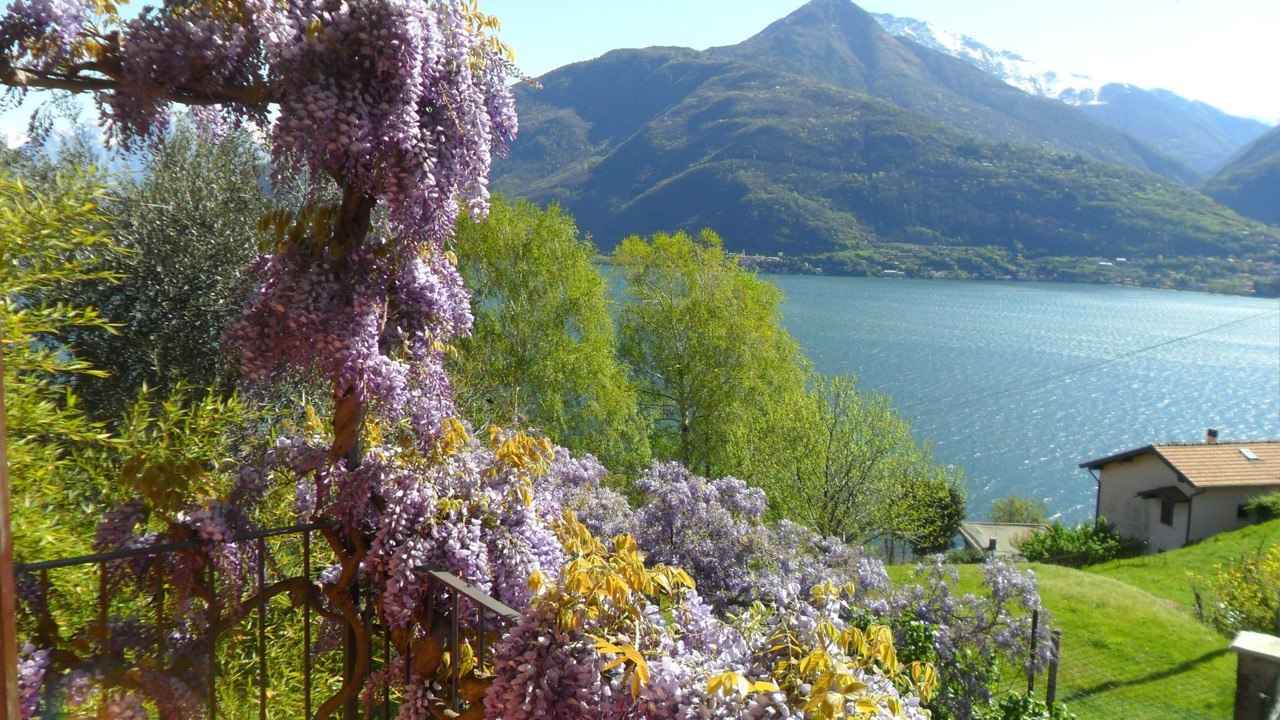 Photo of Outdoor in Cremia