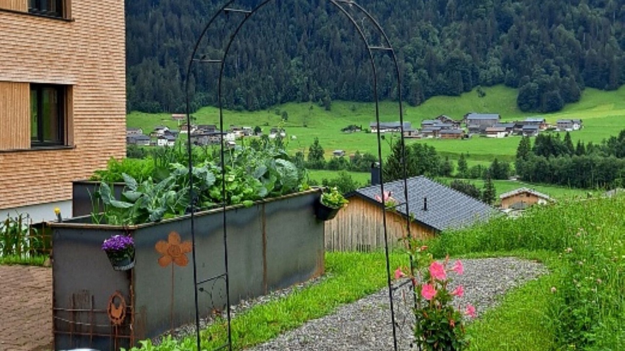 Photo of Outdoor in Schoppernau