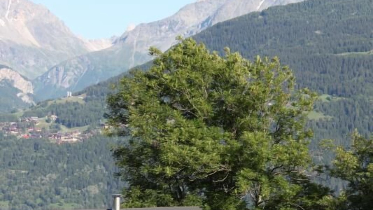 Photo of Outdoor in La Plagne-Tarentaise