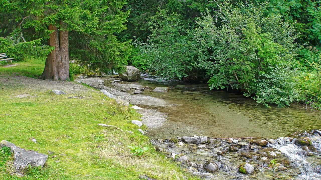Photo of Others in Ochsengarten