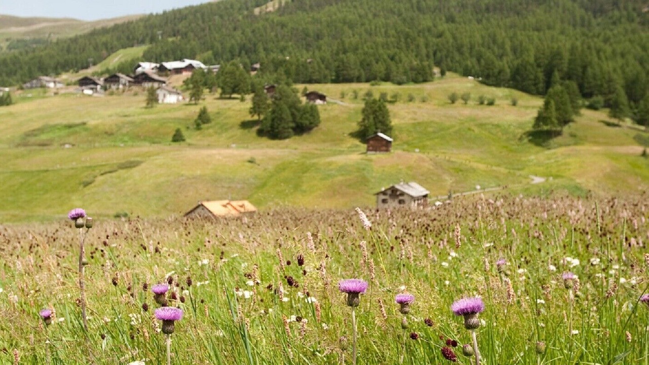 Photo of Others in Valtellina