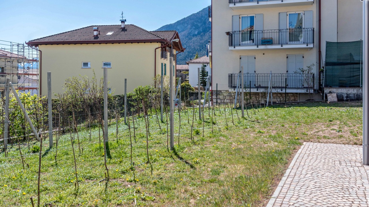 Photo of Outdoor in Tuenno