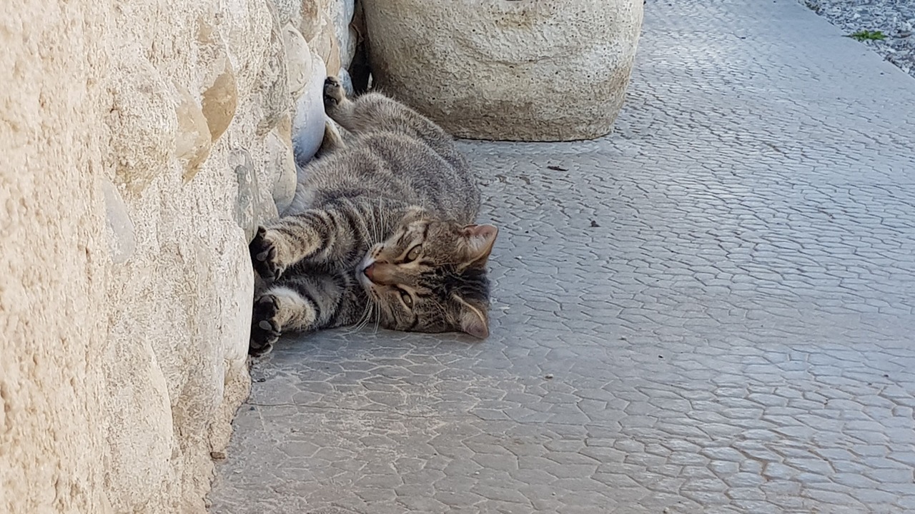 Photo of Outdoor in Izeaux