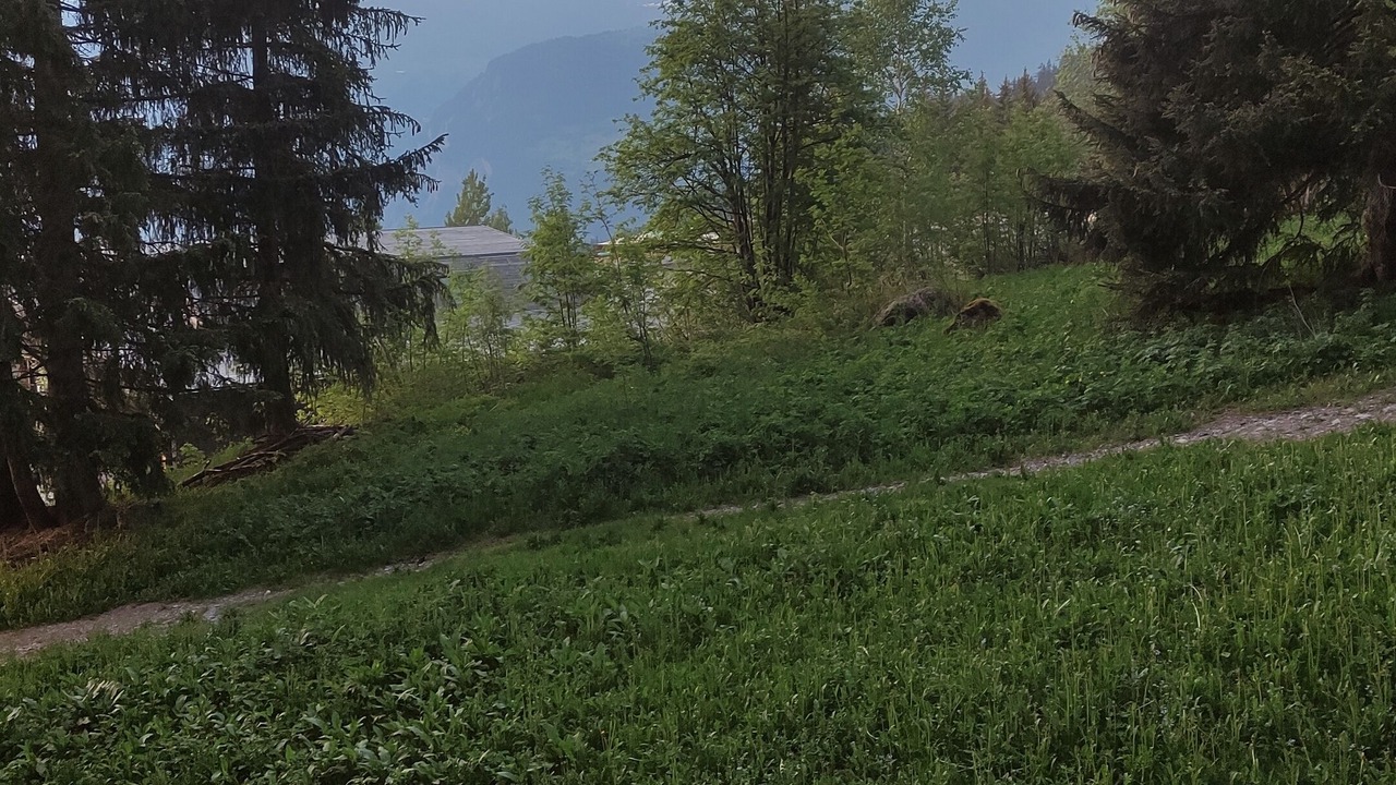 Photo of Outdoor in Arc-1800