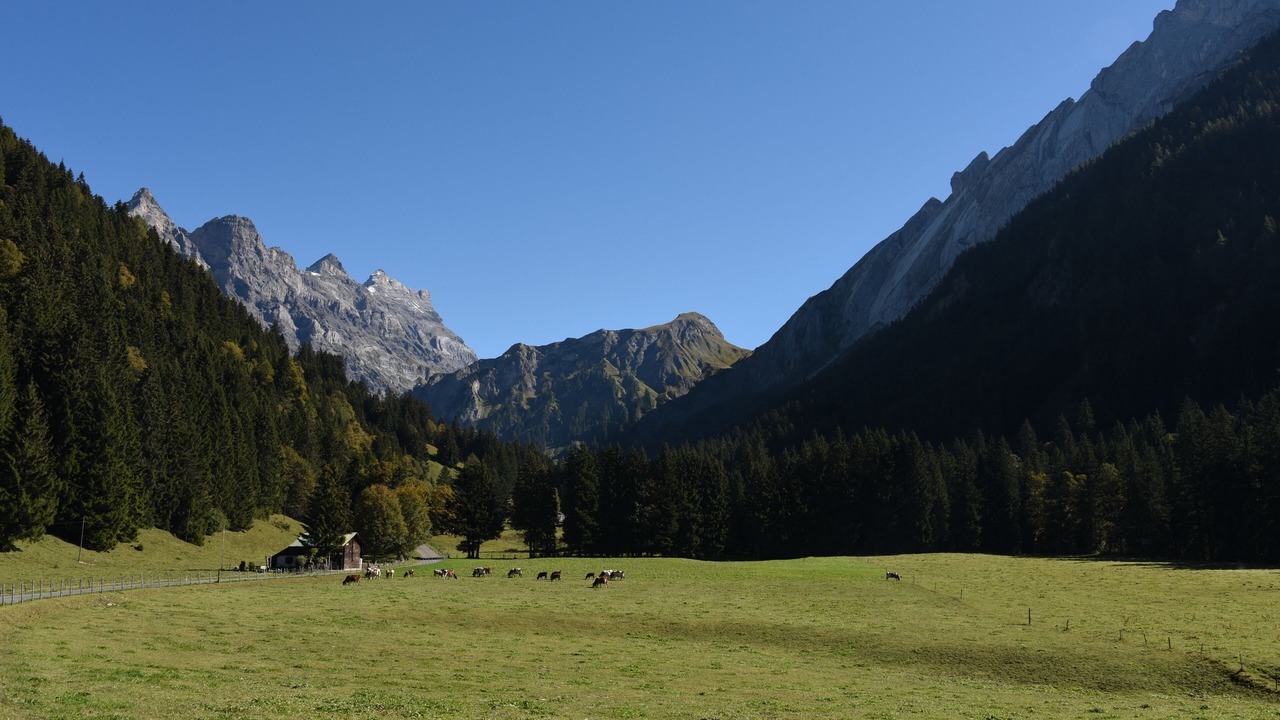 Photo of Others in Alpe des Chaux