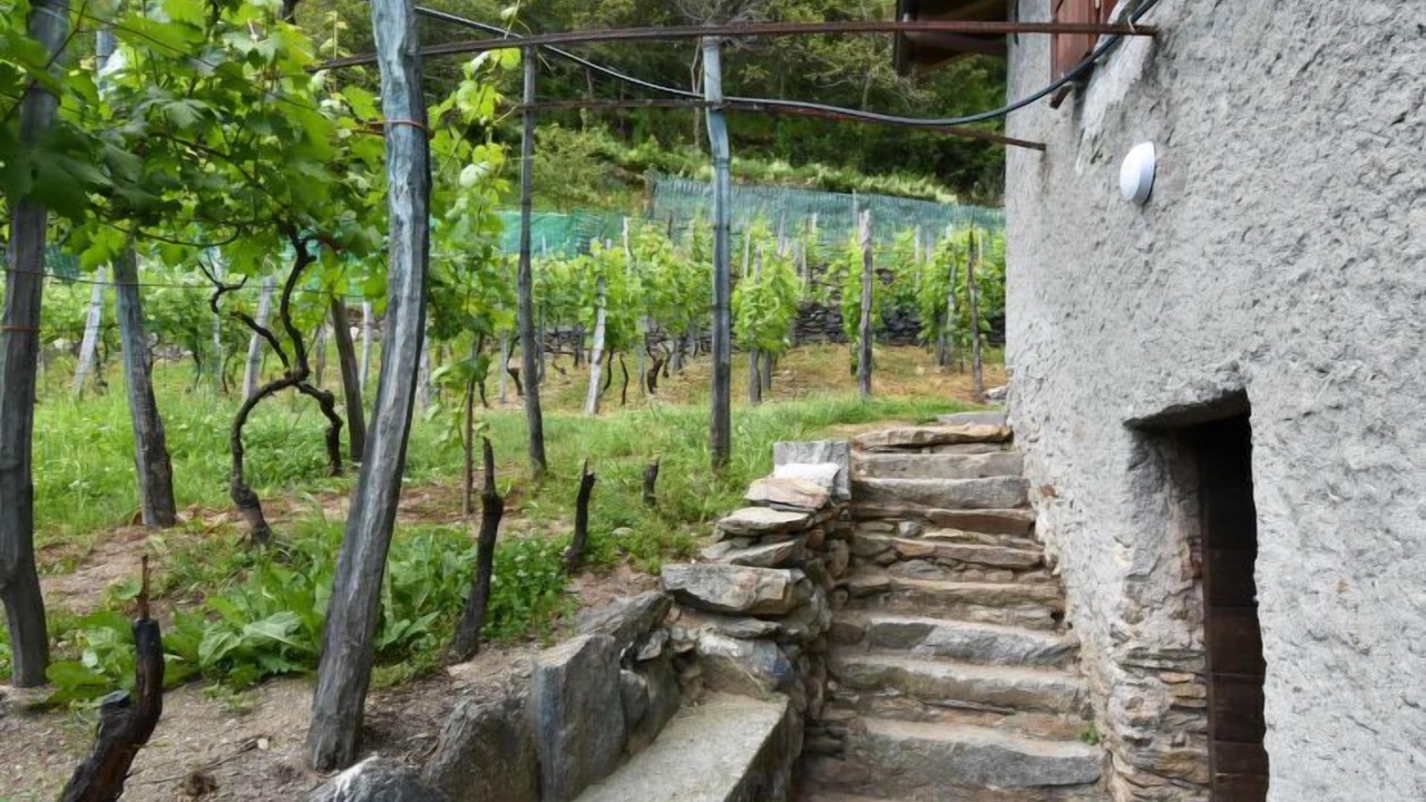 Photo of Others in Valtellina