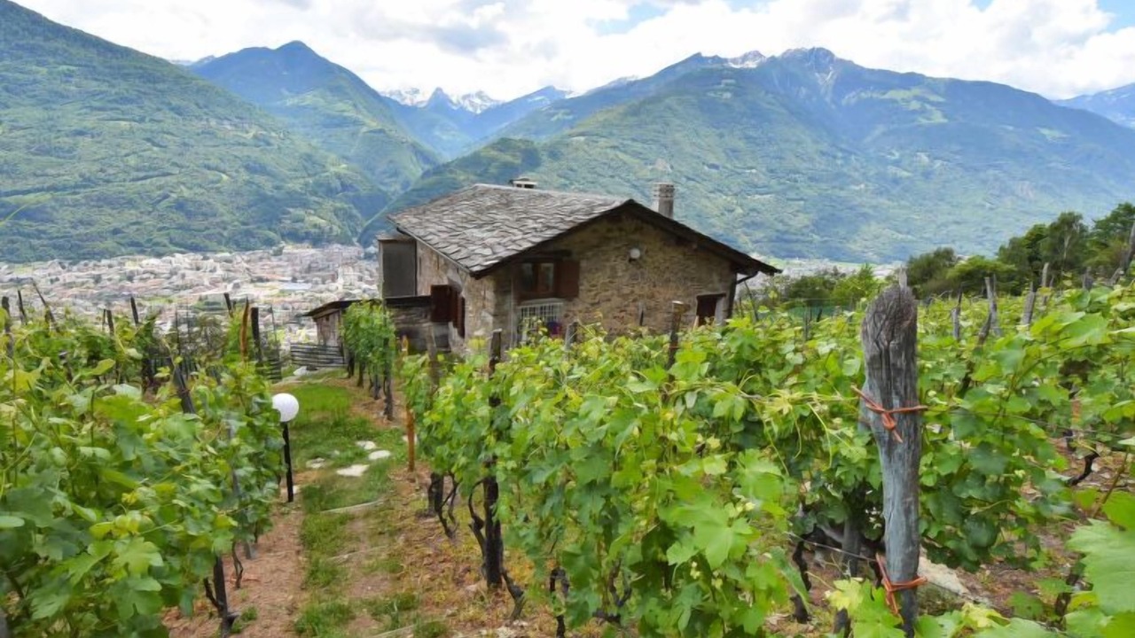 Photo of Others in Valtellina