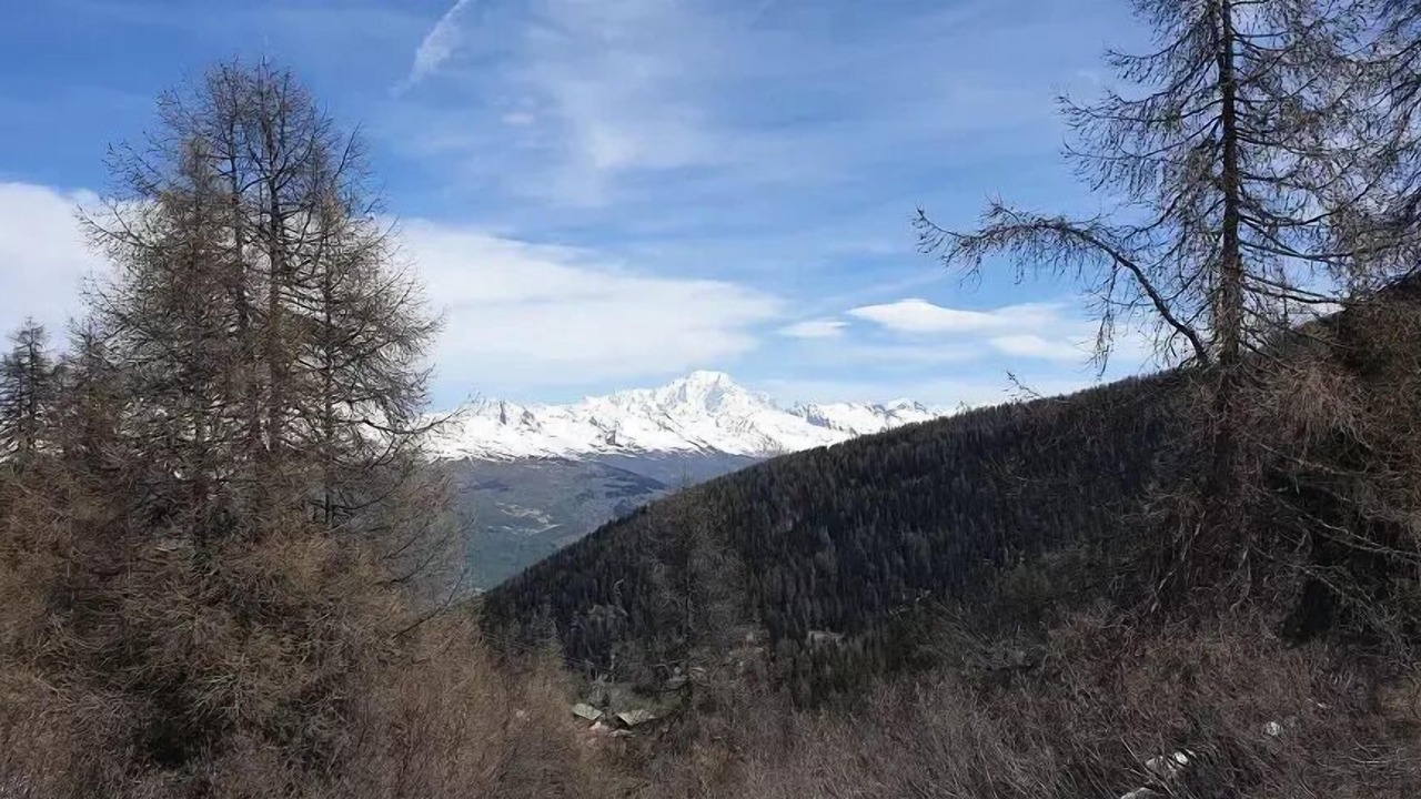 Photo of Others in Plagne 1800