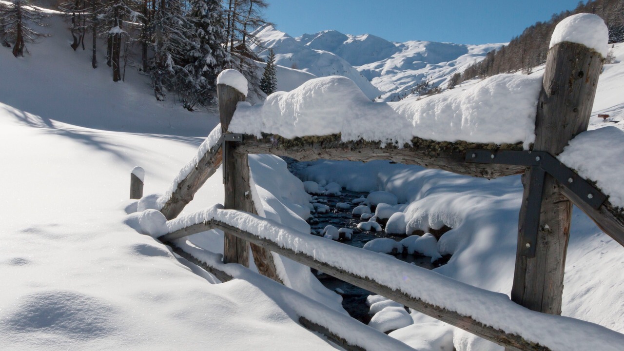 Photo of Others in Montechiaro