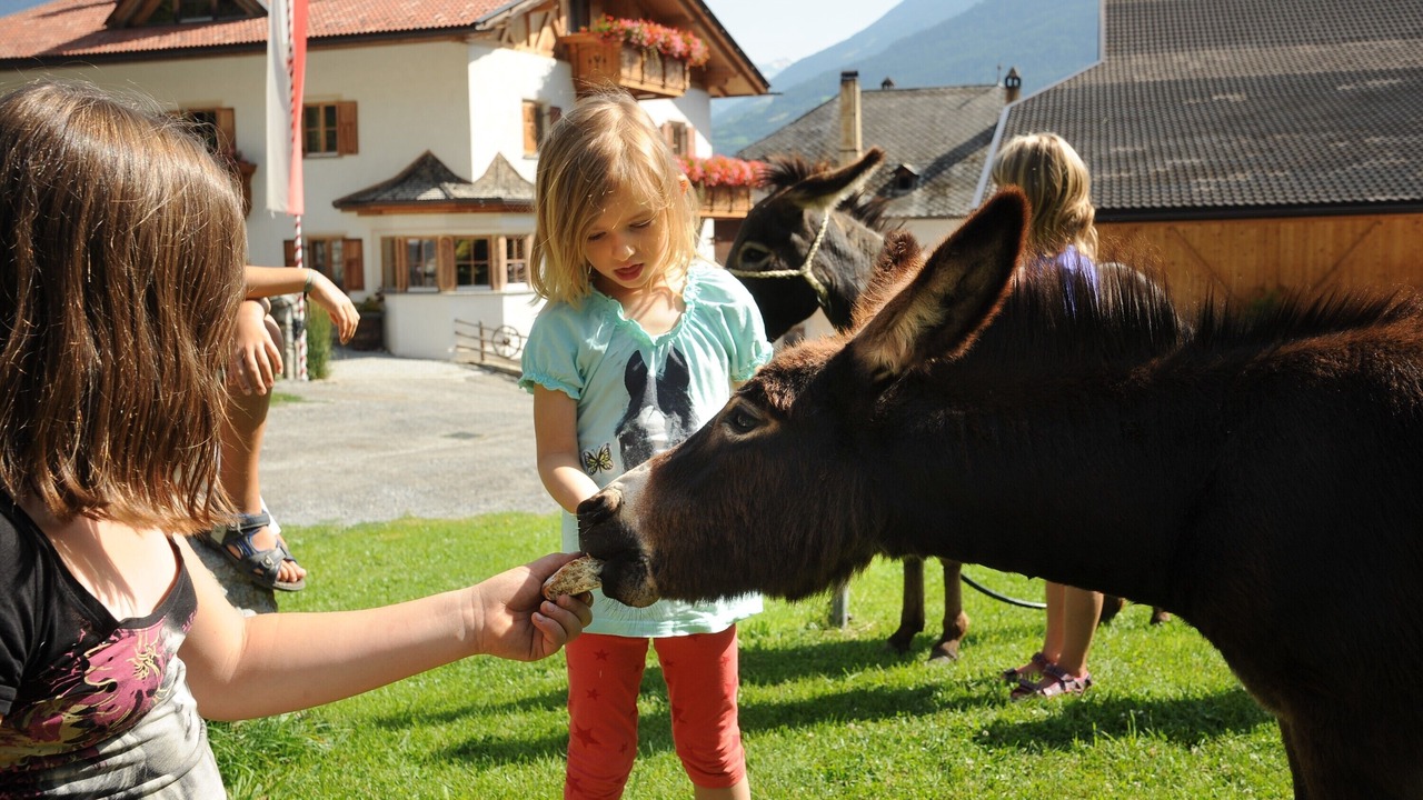 Photo of Others in Prato allo Stelvio