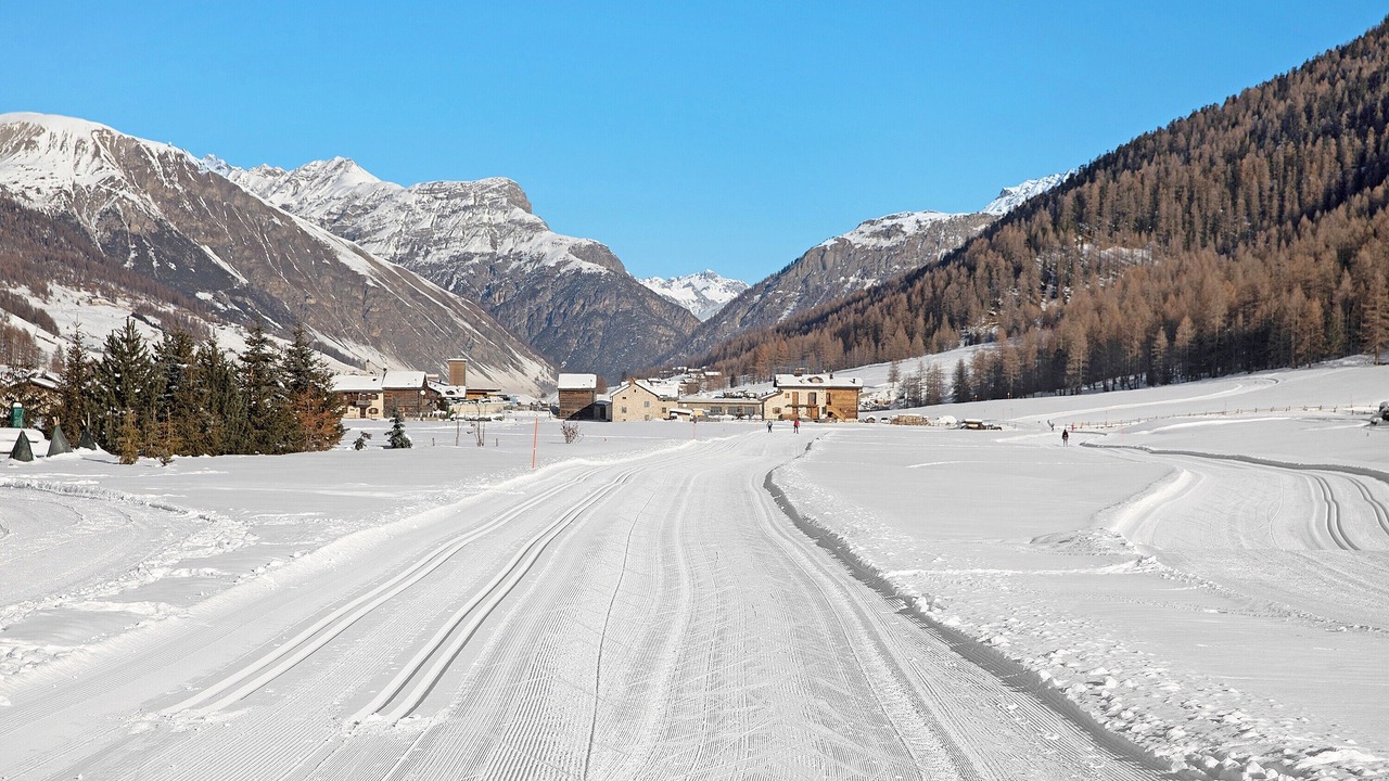 Photo of Others in Valtellina