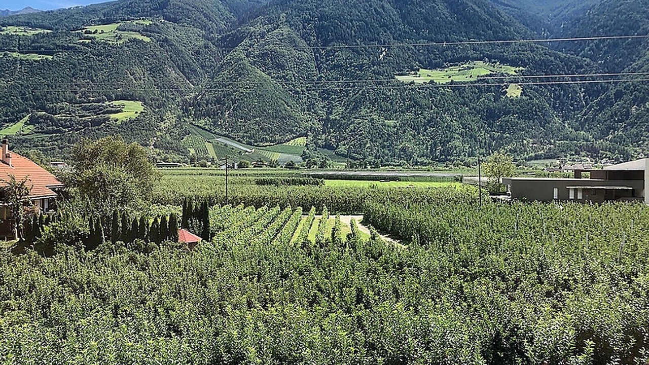 Photo of Others in Castelbello-Ciardes