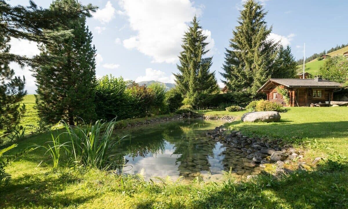 Photo of Outdoor in Saanen