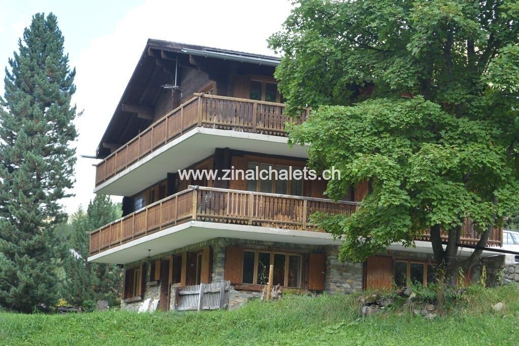 Photo of Outdoor in Zinal