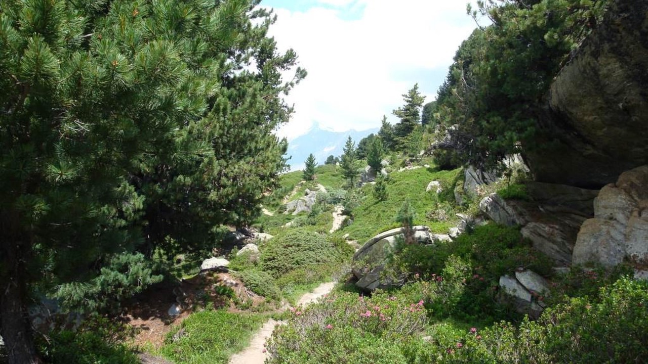 Photo of Outdoor in Riederalp