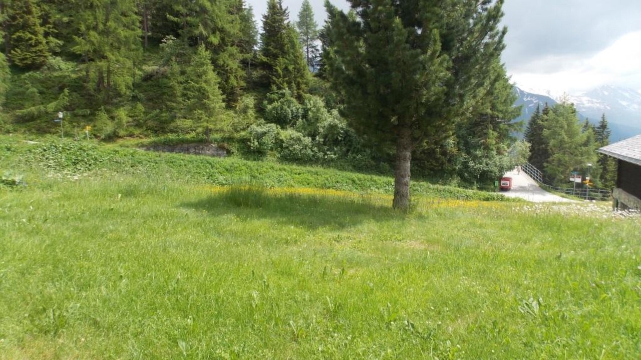 Photo of Outdoor in Riederalp