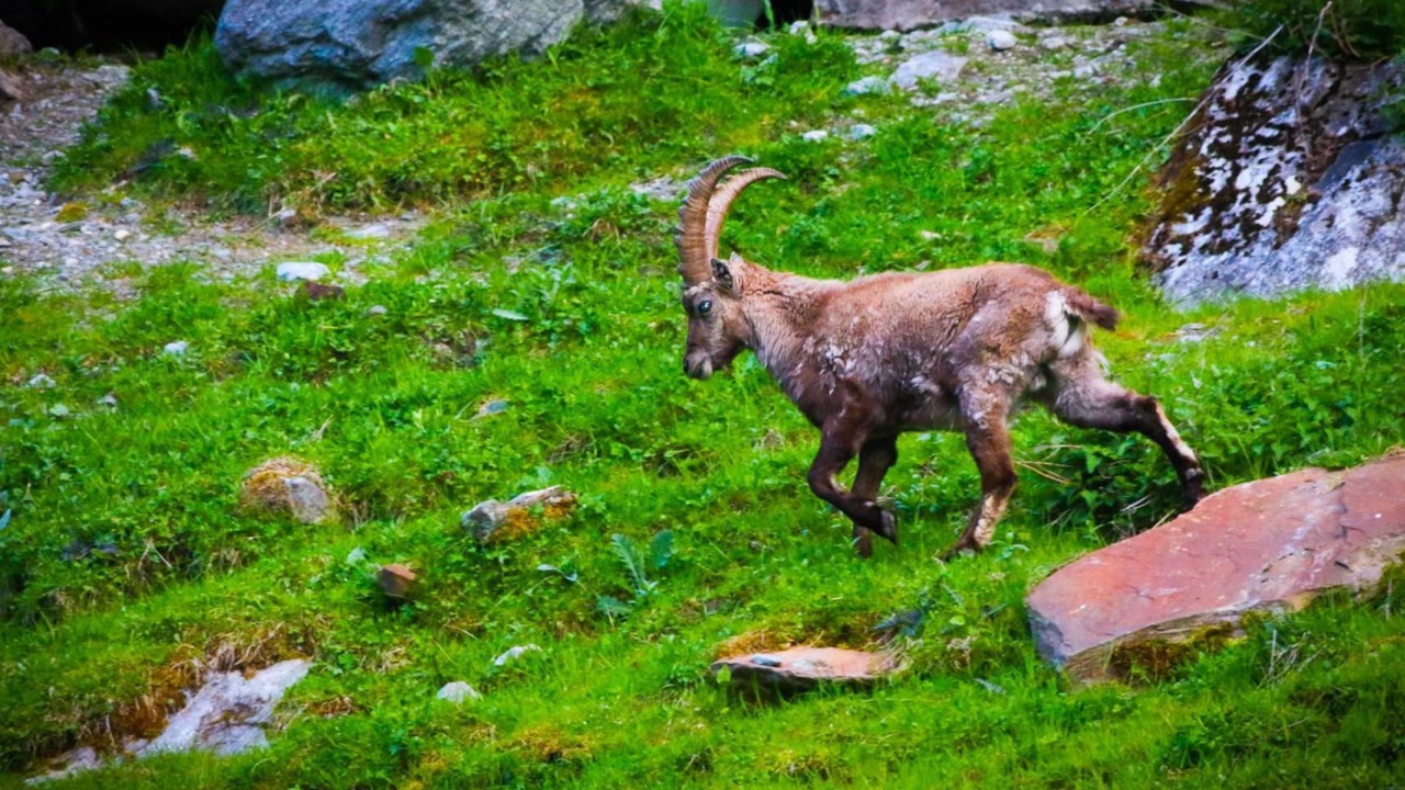 Photo of Outdoor in Saas Grund