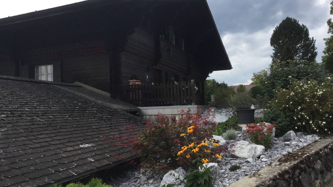 Photo of Outdoor in Saanen