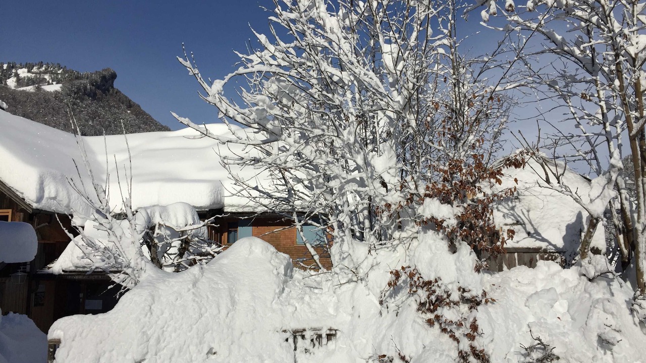Photo of Outdoor in Mellau