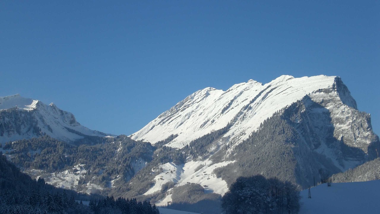 Photo of Others in Schoppernau