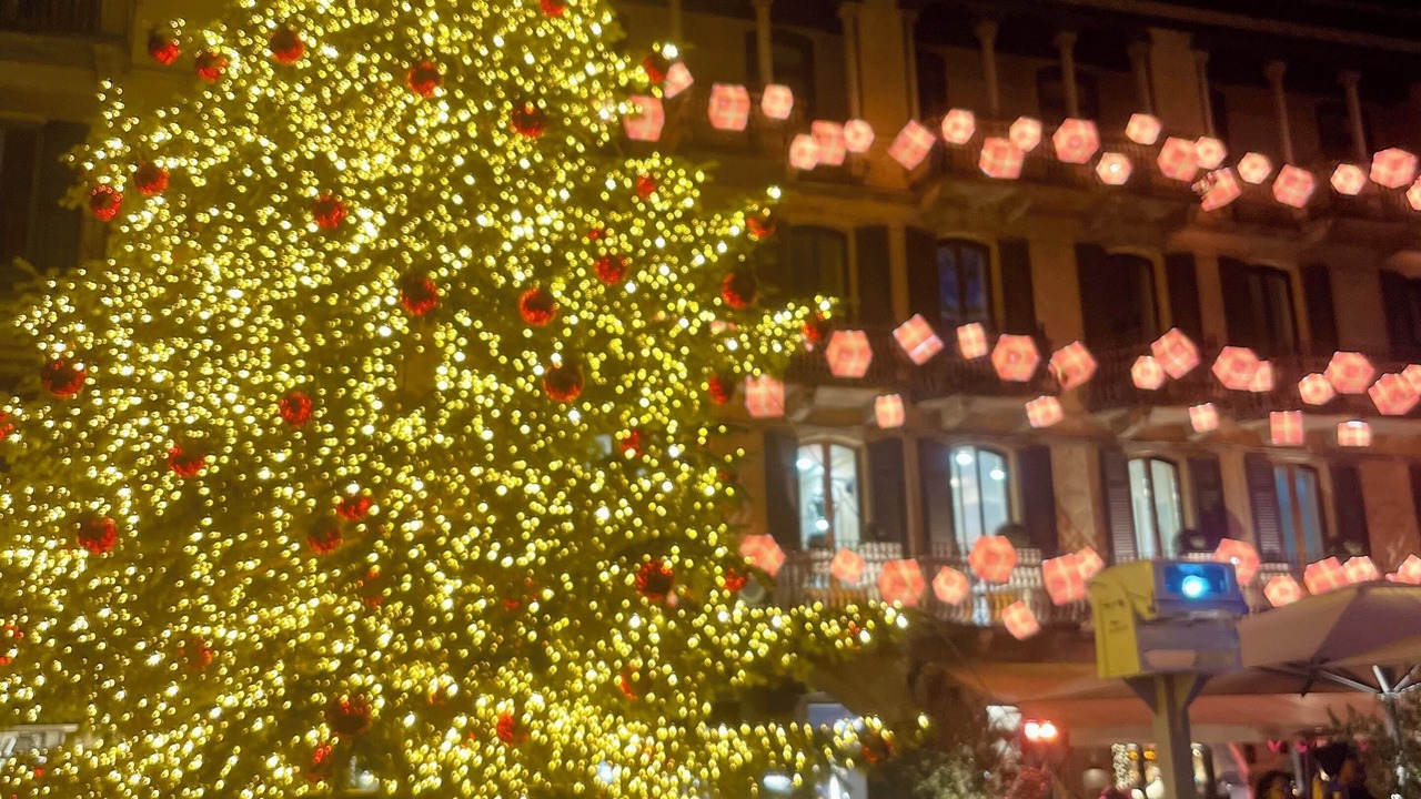 Photo of Outdoor in Como City Centre