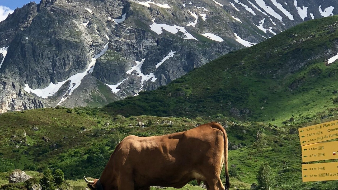 Photo of Outdoor in Villaroger