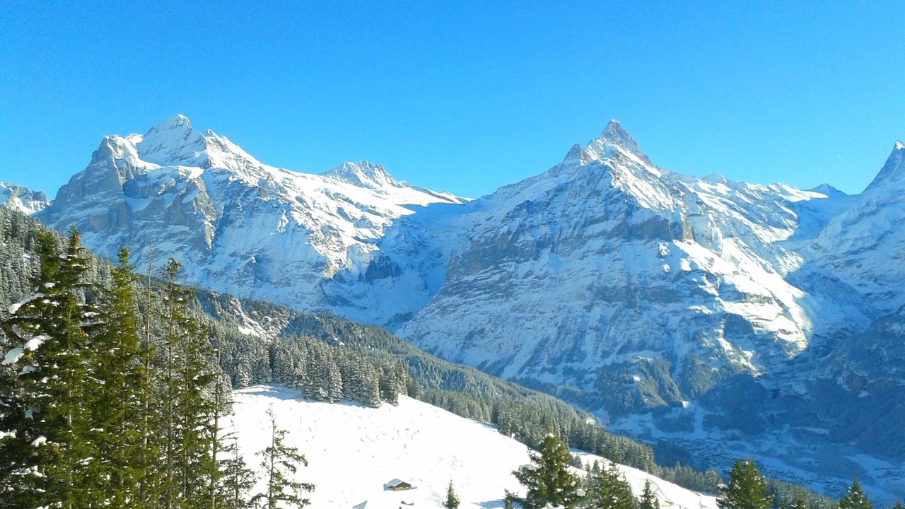 Photo of Outdoor in Grindelwald