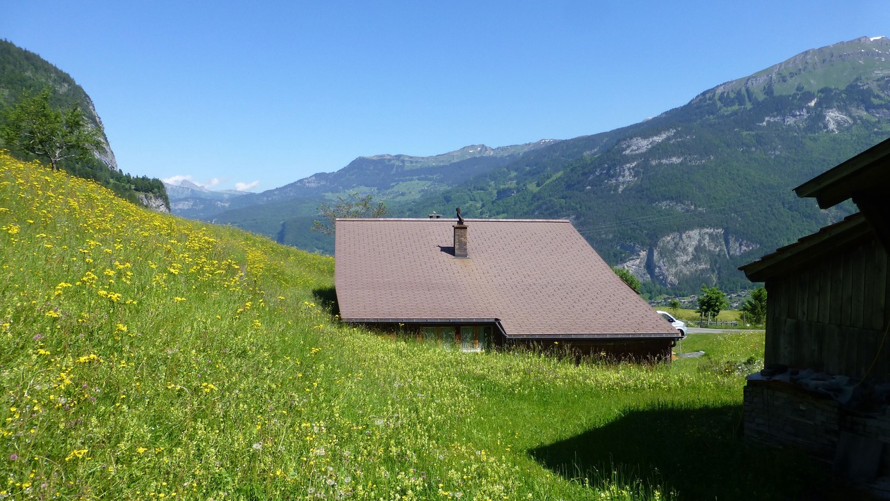 Photo of Outdoor in Innertkirchen
