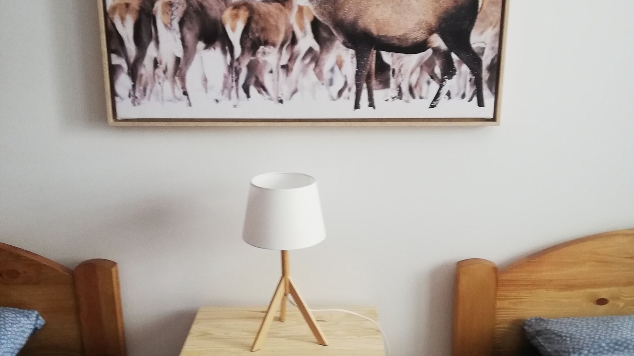 Photo of Bedroom in Sarreyer