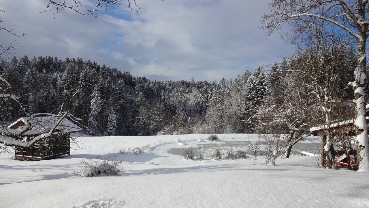 Photo of Outdoor in Rueggisberg
