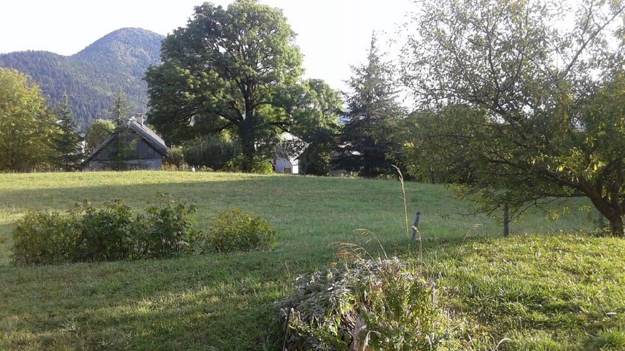 Photo of Outdoor in Sarcenas