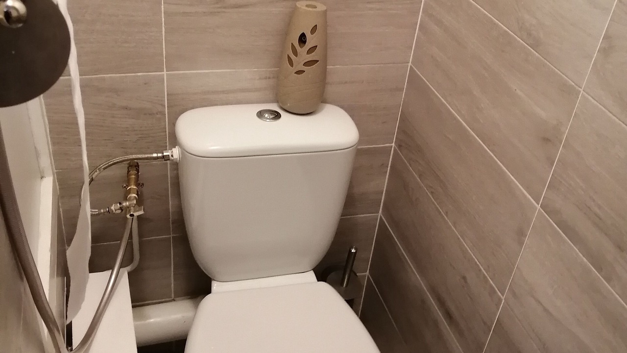 Photo of Bathroom in Villarodin-Bourget