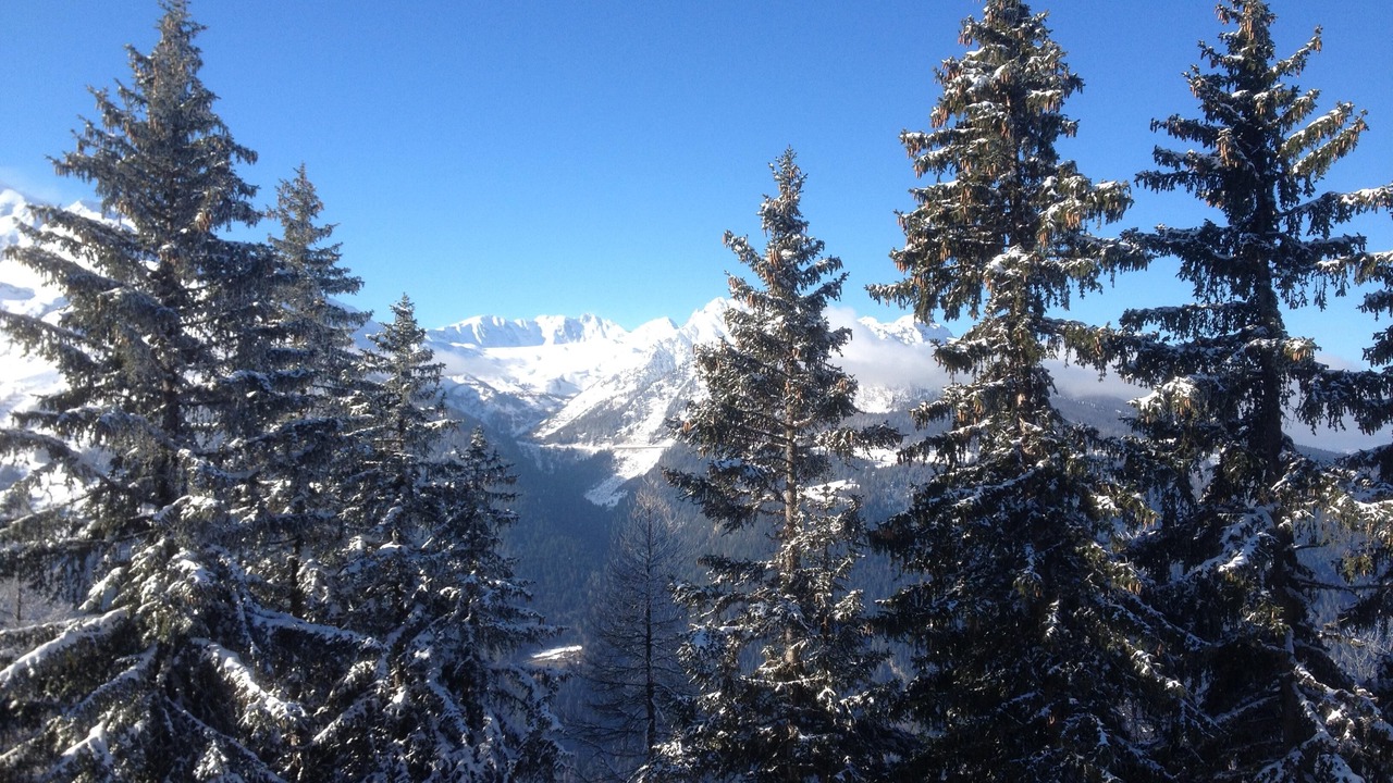 Photo of Others in La Rosiere