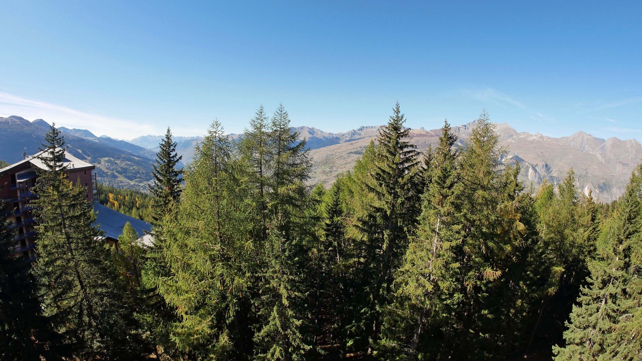 Photo of Outdoor in Arc-1800