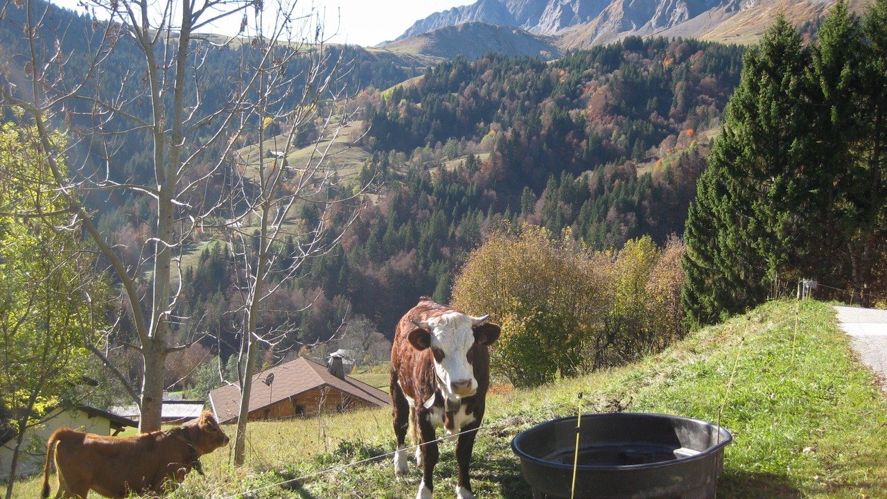 Photo of Outdoor in La Giettaz