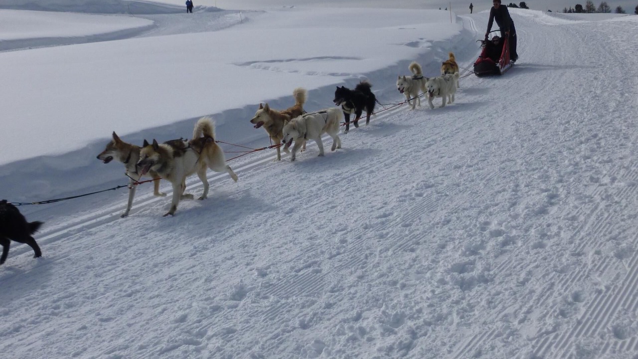 Photo of Others in Belle Plagne