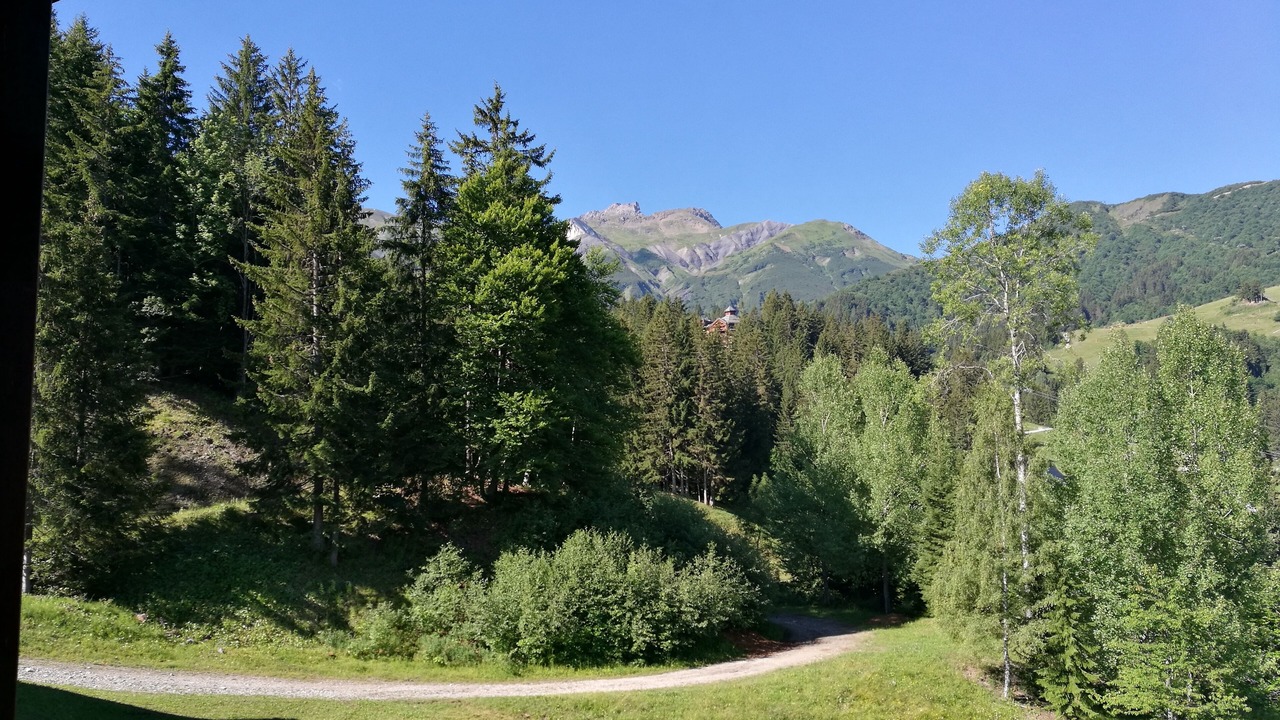 Photo of Others in Valmorel