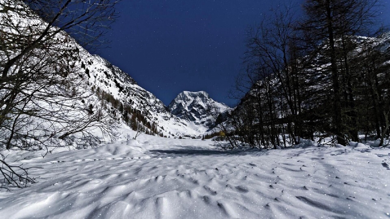 Photo of Others in Arolla