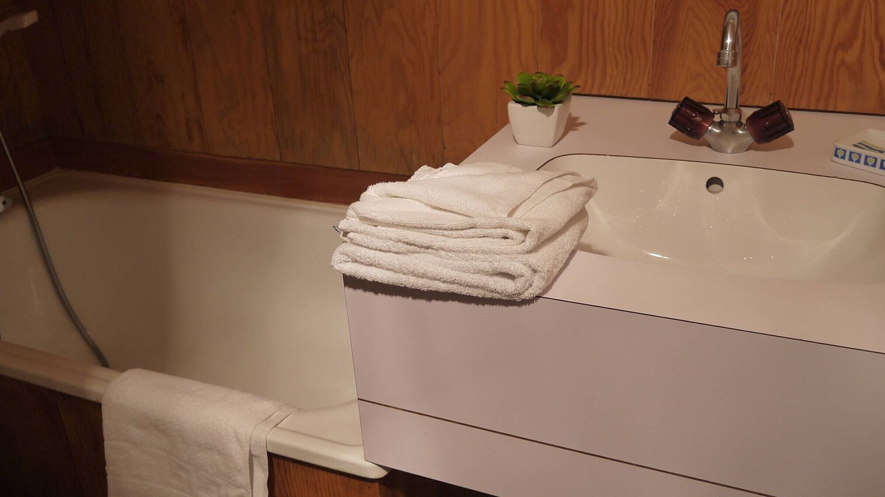 Photo of Bathroom in Meribel-Mottaret