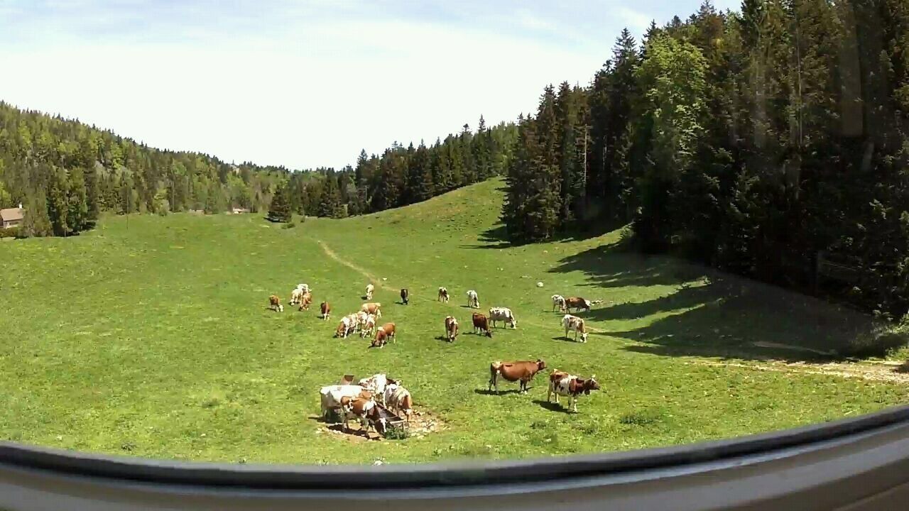 Photo of Outdoor in Saint-Cergue